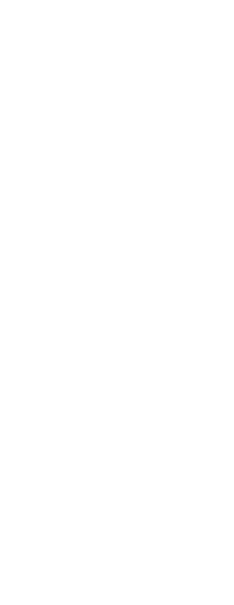 Bottom Vector Left